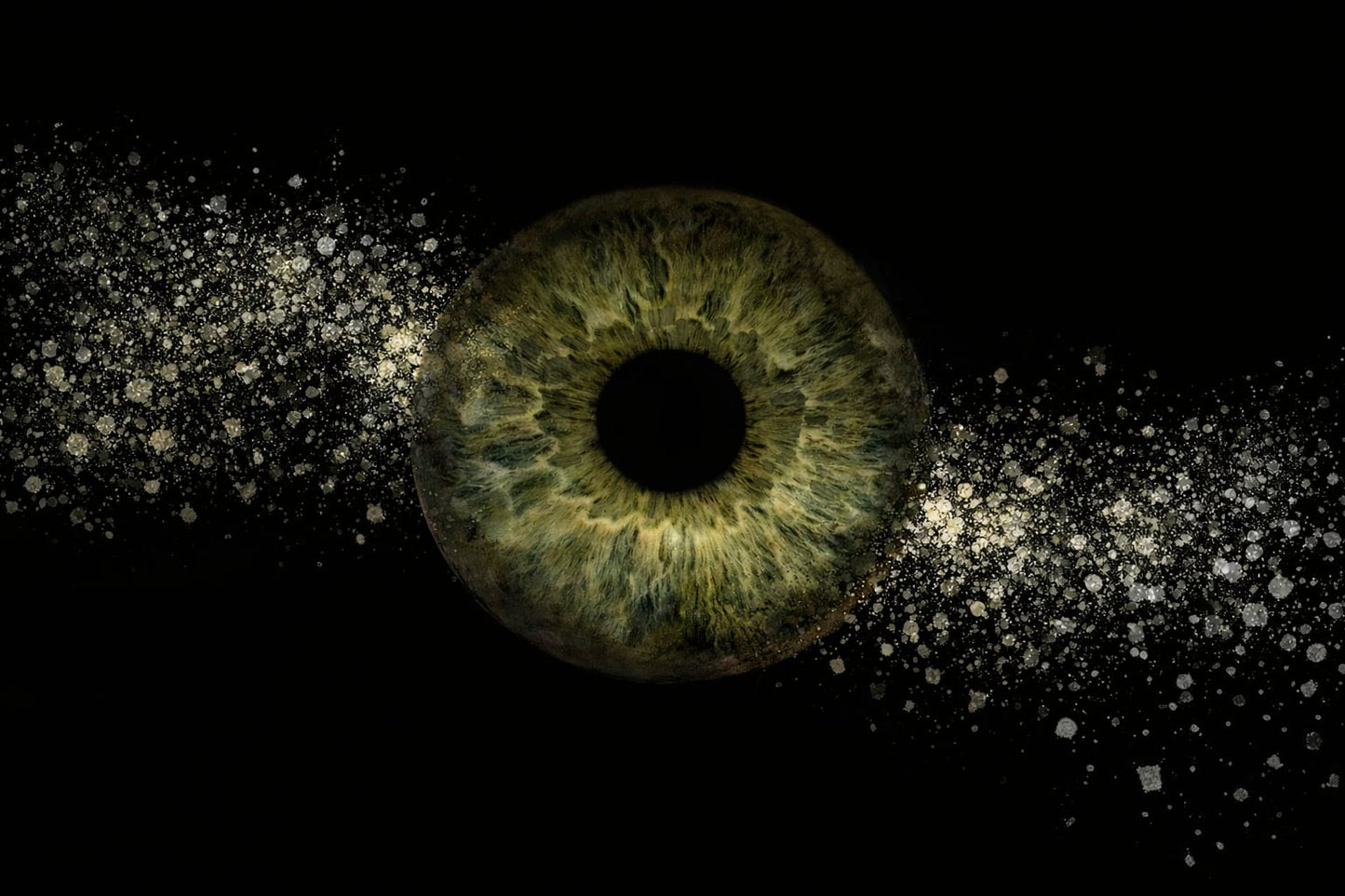 Iris art - digital image